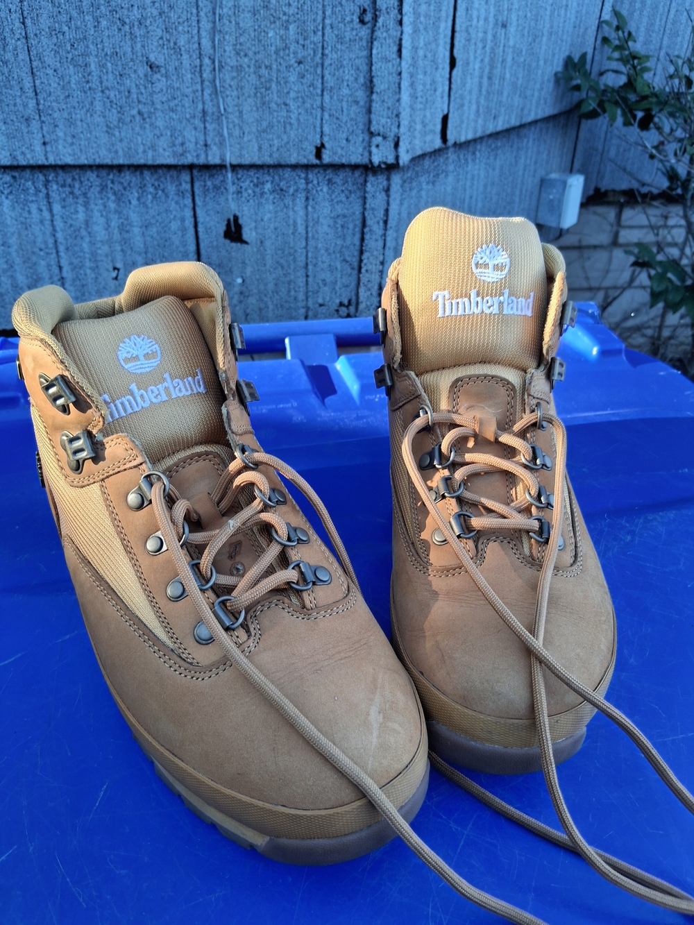 Mens Size 10 Timberland Boots